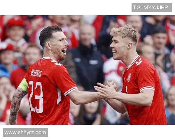 丹麦足球明星兄弟携手共创辉煌成就引领足坛新风潮 丹麦足球明星兄弟携手共创辉煌成就引领足坛新风潮