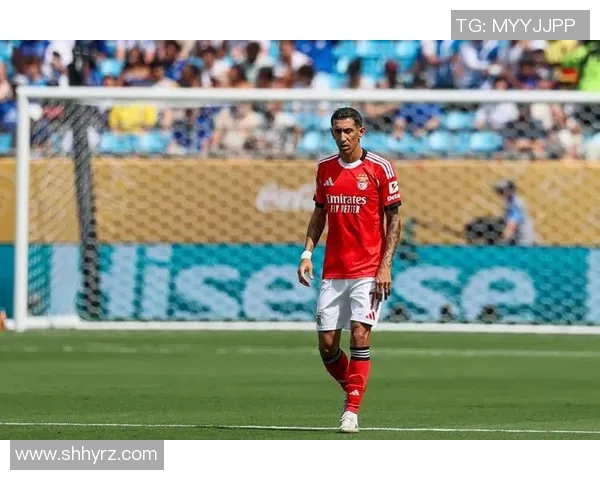 无法重返赛场的足球明星背后的故事与挑战 无法重返赛场的足球明星背后的故事与挑战